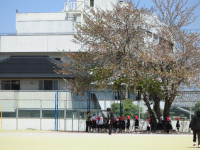 CIMG6725