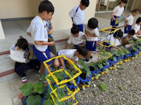 image1 (2)