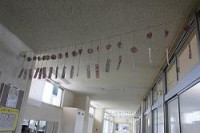 IMG_5493-w250